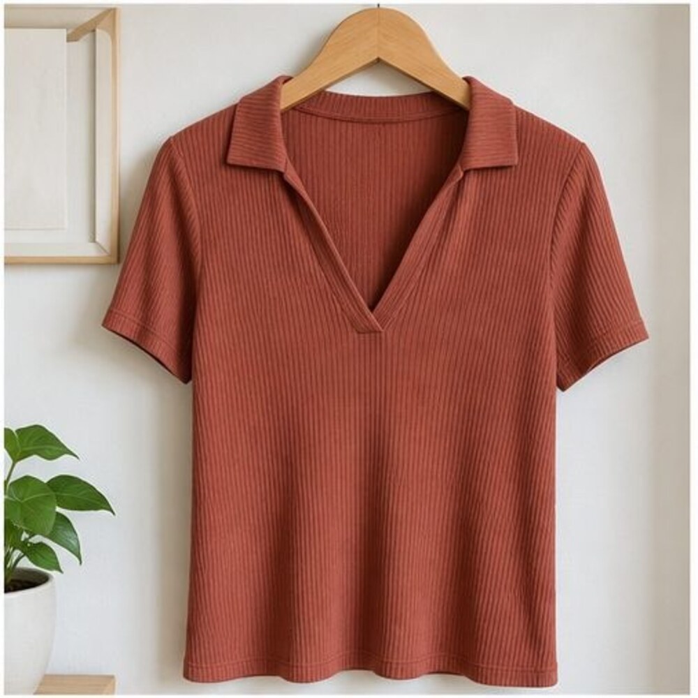Rust V Neck Top